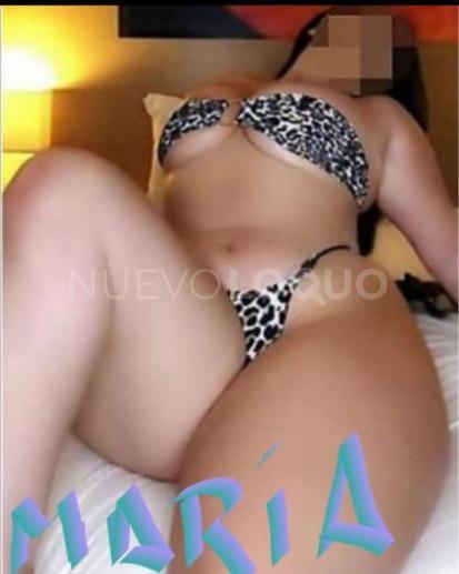 NuevoLoquo3
