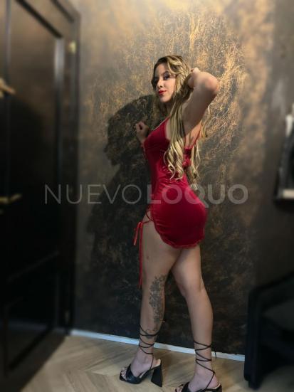 NuevoLoquo2