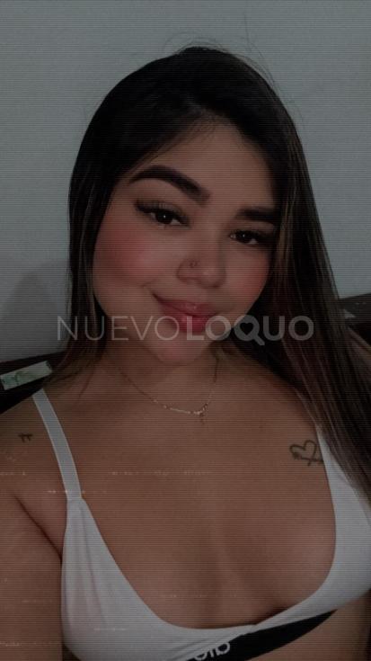 NuevoLoquo3