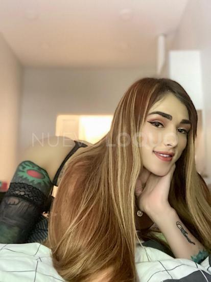 NuevoLoquo1