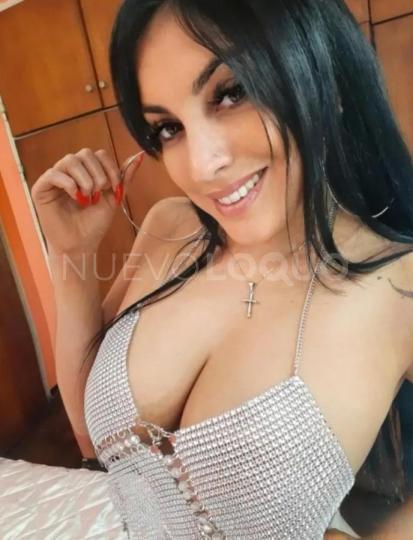 NuevoLoquo2