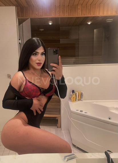NuevoLoquo3