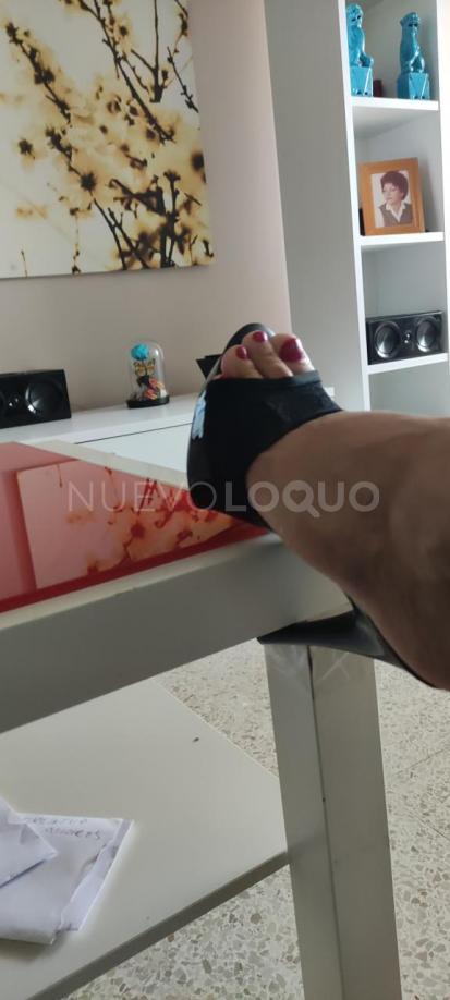 NuevoLoquo2