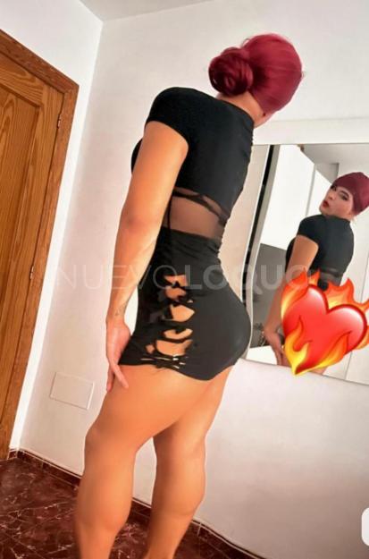 NuevoLoquo3