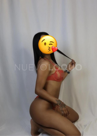 NuevoLoquo2