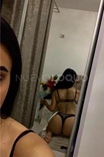 NuevoLoquo3