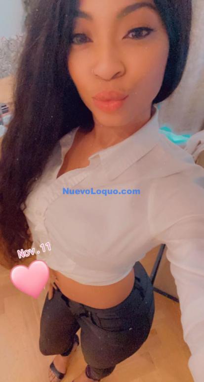 NuevoLoquo3