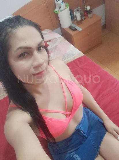 NuevoLoquo3