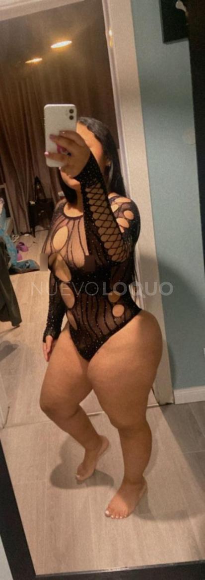 NuevoLoquo2