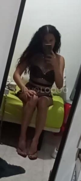NuevoLoquo3