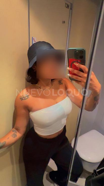 NuevoLoquo3