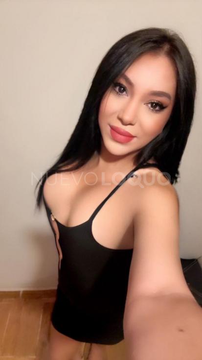 NuevoLoquo3