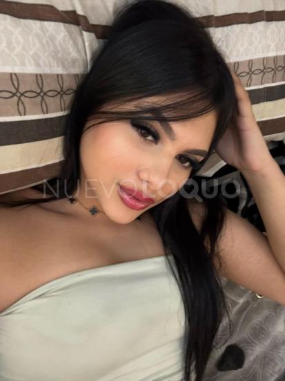 NuevoLoquo1