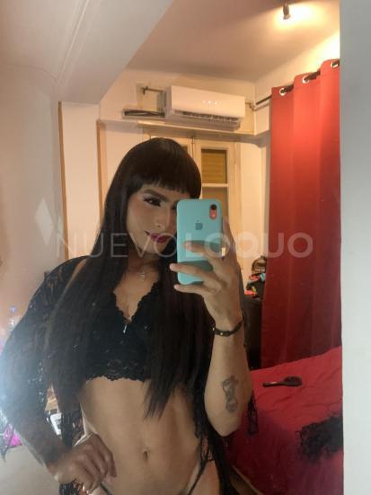 NuevoLoquo2