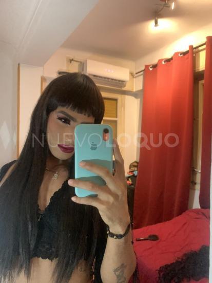 NuevoLoquo3