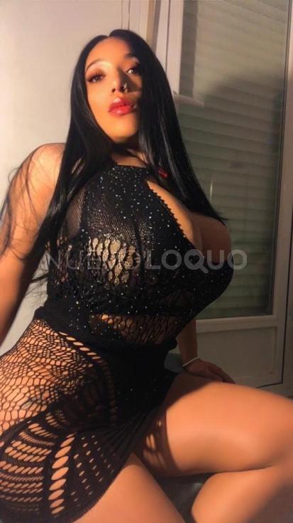 NuevoLoquo3