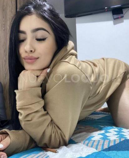 NuevoLoquo2