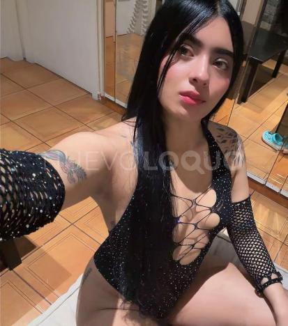 NuevoLoquo1