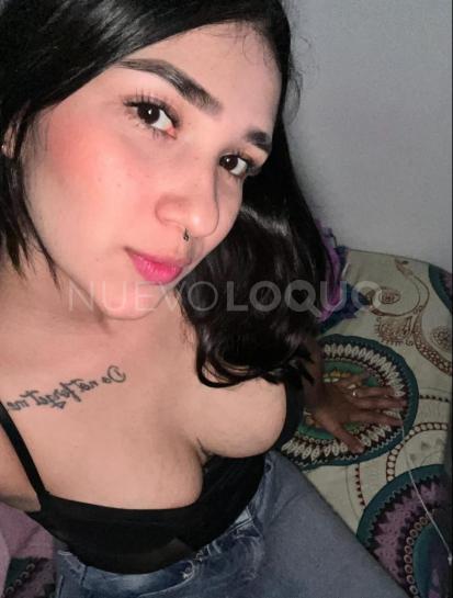 NuevoLoquo1