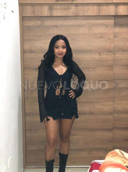 NuevoLoquo2