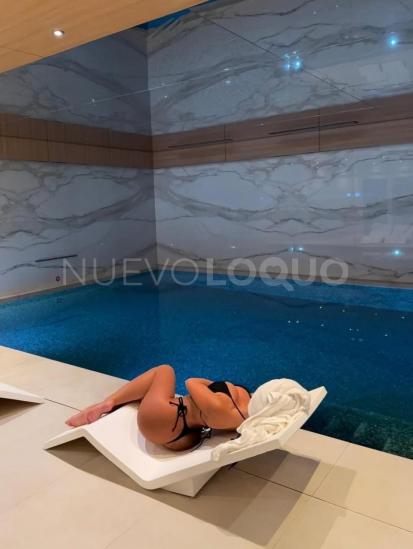 NuevoLoquo3