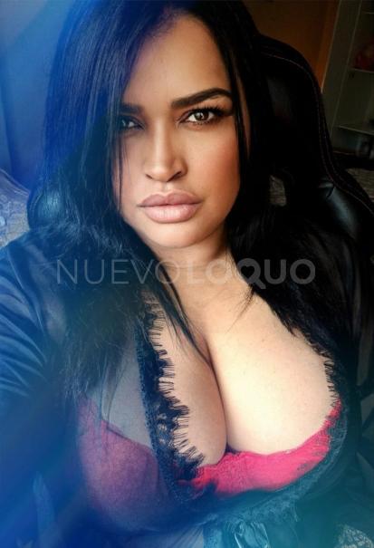 NuevoLoquo2