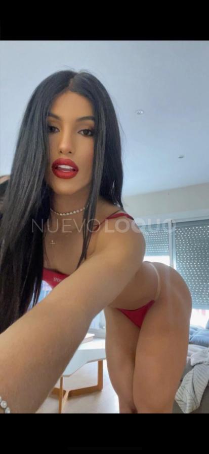 NuevoLoquo2