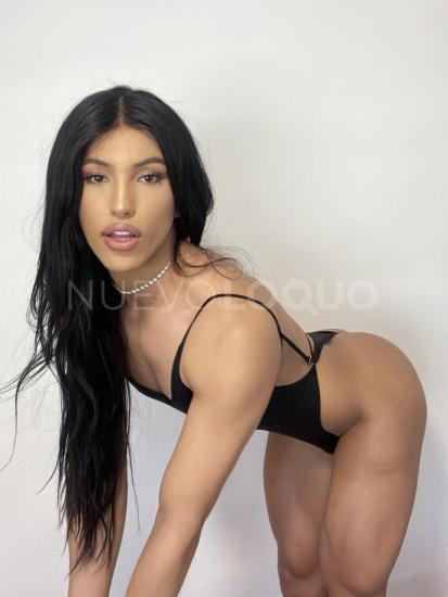 NuevoLoquo3