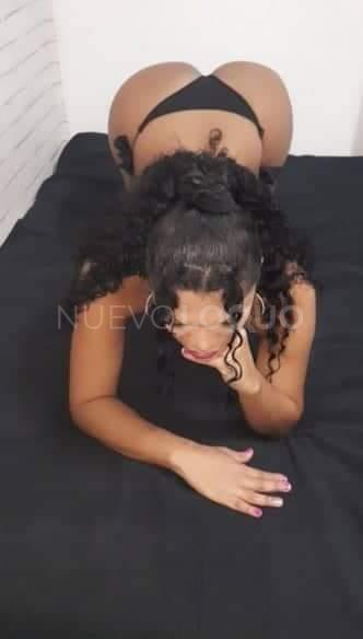 NuevoLoquo3
