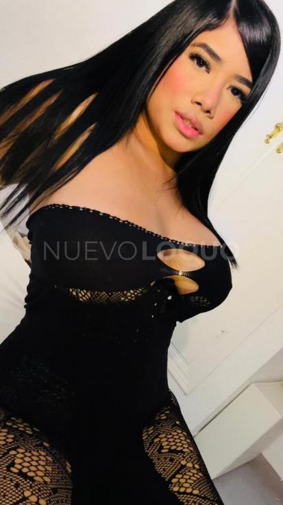 NuevoLoquo2