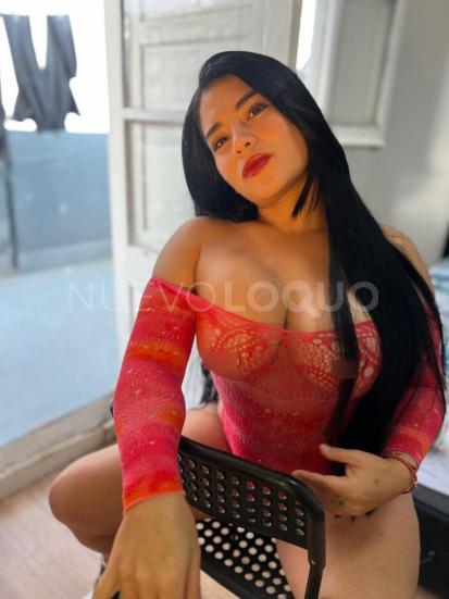 NuevoLoquo4