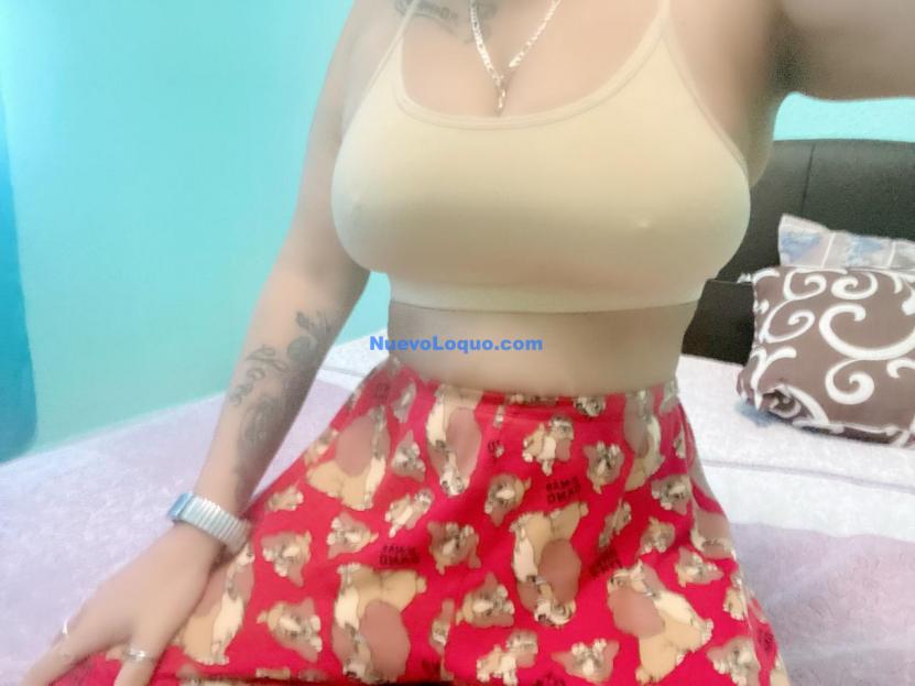 NuevoLoquo2