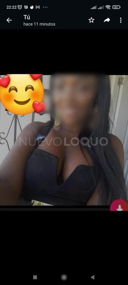 NuevoLoquo2