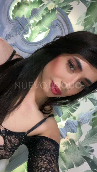 NuevoLoquo3