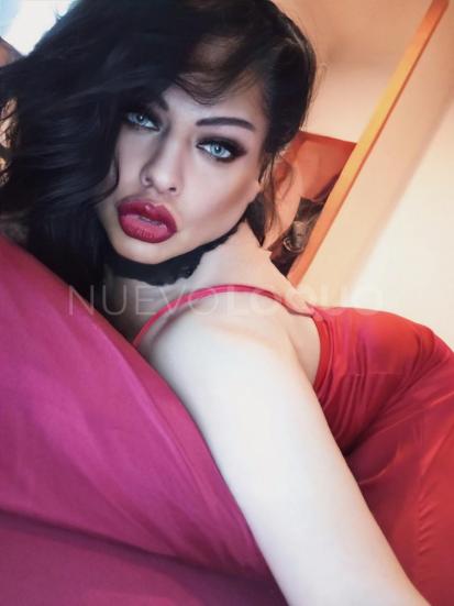 NuevoLoquo1