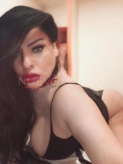 NuevoLoquo1