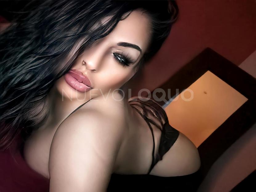 NuevoLoquo2