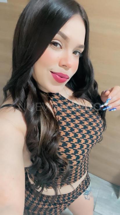 NuevoLoquo2