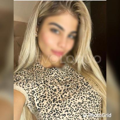 NuevoLoquo0