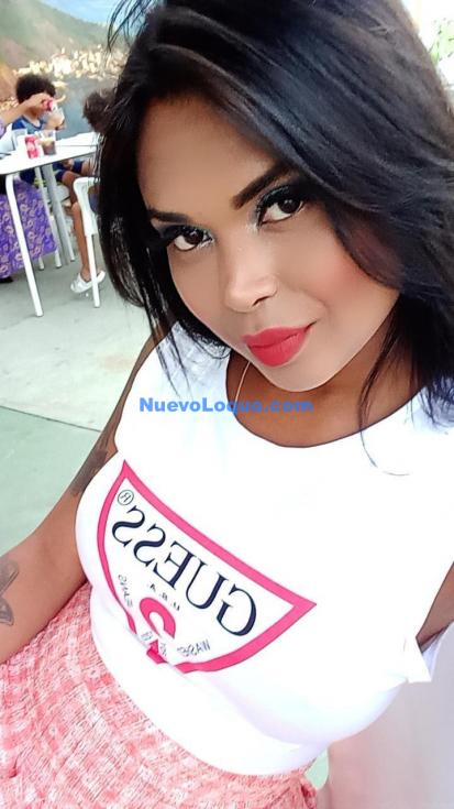NuevoLoquo2