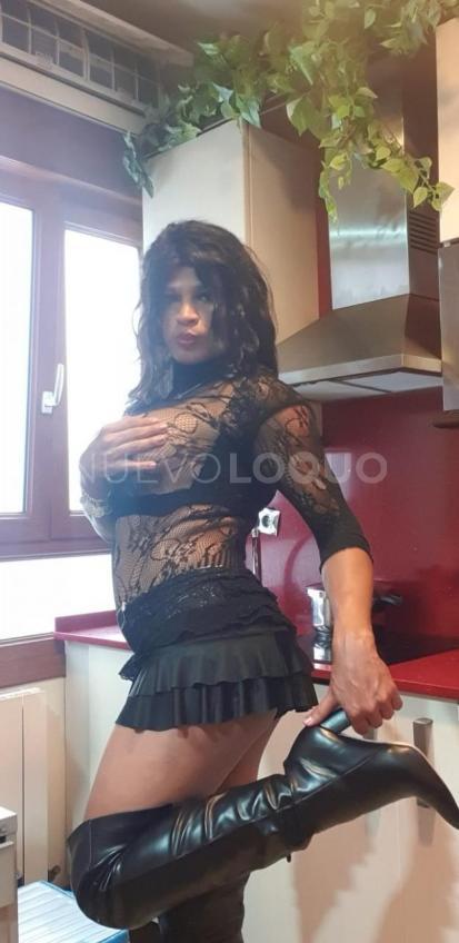 NuevoLoquo1