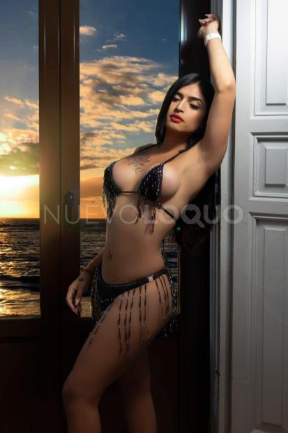 NuevoLoquo5