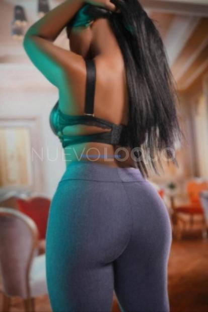 NuevoLoquo2