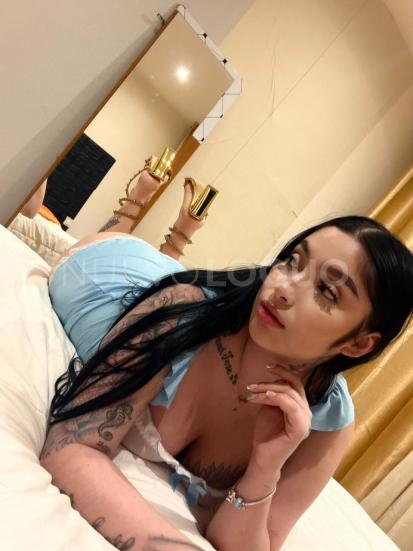 NuevoLoquo1