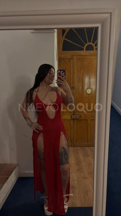 NuevoLoquo2