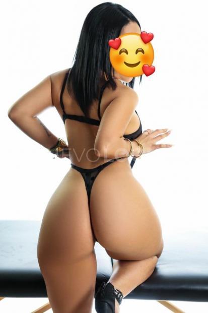NuevoLoquo2
