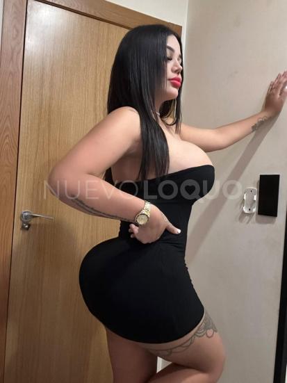 NuevoLoquo2