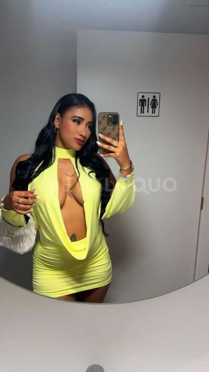NuevoLoquo3