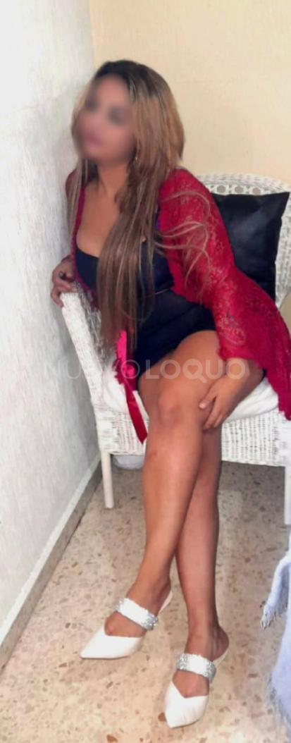 NuevoLoquo2