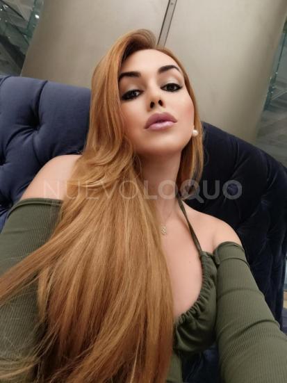 NuevoLoquo3